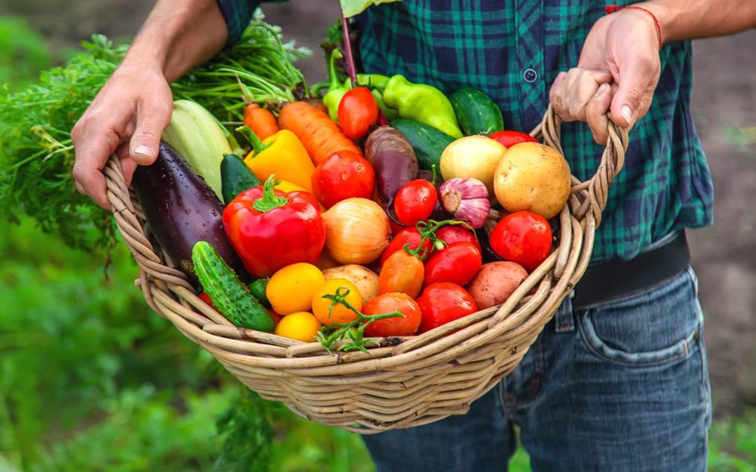 Une bonne alimentation au Printemps