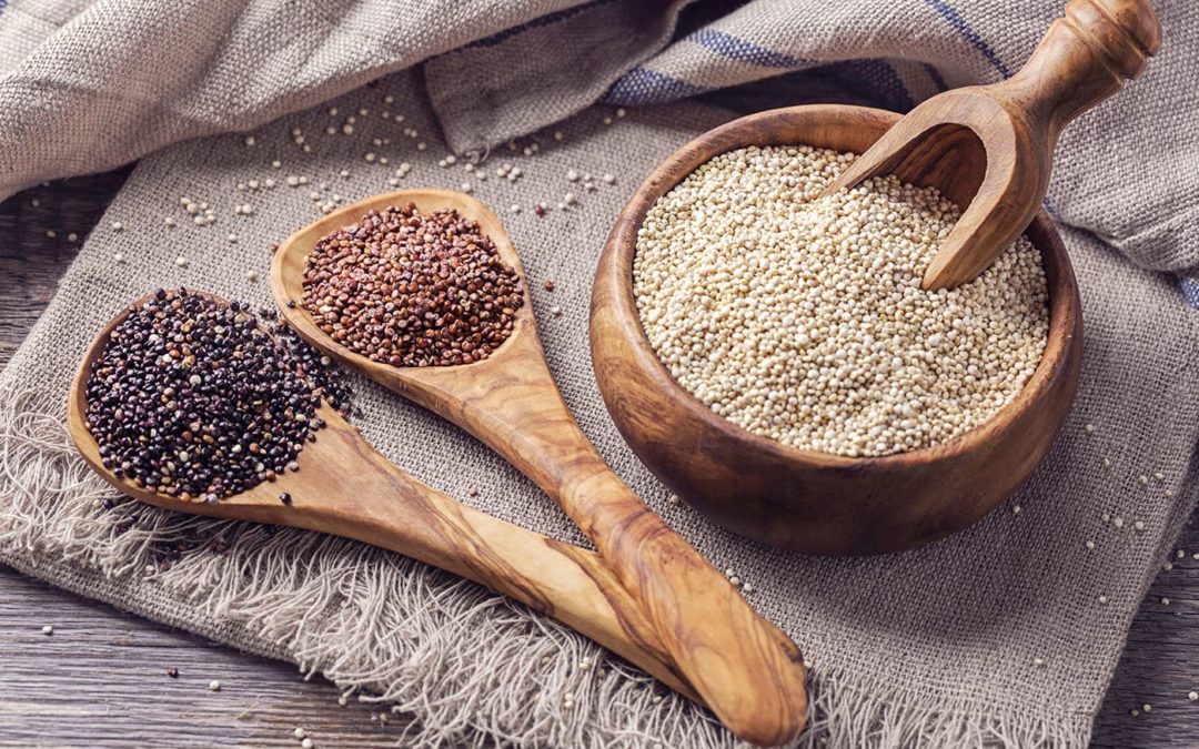 Quinoa : protéines, antioxydants et fibres pour une santé optimale