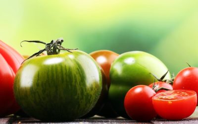 Les tomates, un trésor de saveurs et de bienfaits pour la santé